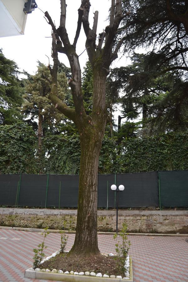 Porte Di Bologna Ngoại thất bức ảnh